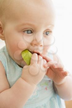 Royalty Free Photo of a Baby Eating an Apple