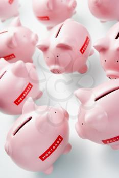 Royalty Free Photo of a Group of Piggy Banks Labelled For Different Things