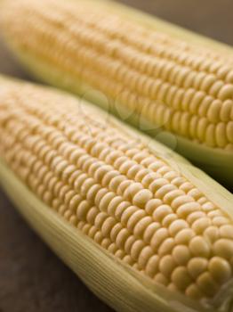 Royalty Free Photo of Cobs of Corn