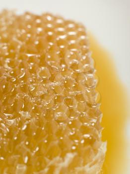 Royalty Free Photo of a Honeycomb
