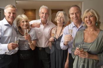 Royalty Free Photo of Friends Having Champagne at a Dinner Party