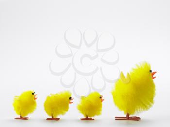 Royalty Free Photo of a Family of Toy Chicks for Easter