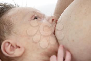 Royalty Free Photo of a Baby Breastfeeding