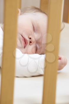 Royalty Free Photo of a Baby Sleeping in a Crib