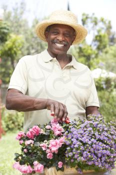 Royalty Free Photo of a Man in a Garden