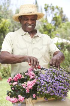 Royalty Free Photo of a Man Working With Plants