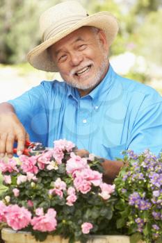 Royalty Free Photo of a Man With Plants