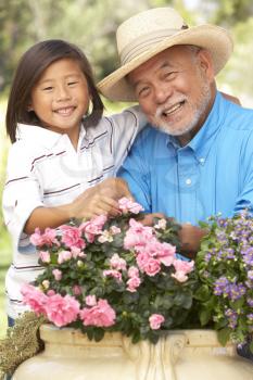 Royalty Free Photo of a Grandfather and Grandson in the Garden