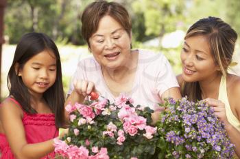 Royalty Free Photo of Three Generations of Women in the Garden