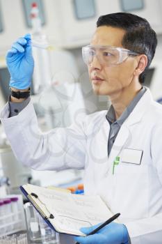 Male Scientist Working In Laboratory