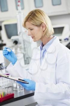 Female Scientist Working In Laboratory