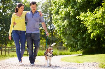 Hispanic Couple Taking Dog For Walk In Countryside