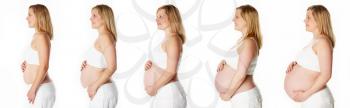 Studio Sequence Showing Progression Of Human Pregnancy