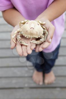 Detail young boy holding crab