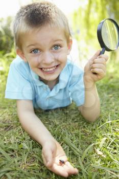 Young boy with beetle and magnifying glass