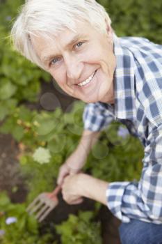 Mid age man gardening