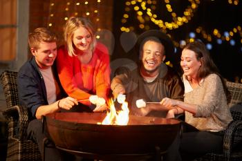Group Of Friends Toasting Marshmallows By Firepit