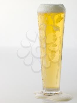 Frothy Glass Of Lager On White Background