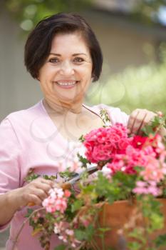 Senior Hispanic Woman Working In Garden Tidying Pots