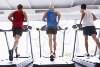 Back View Of Group Of Men Using Running Machines In Gym