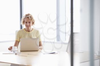 Senior Businesswoman Working On Laptop At Boardroom Table