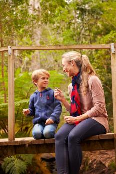 Mother and young son sitting on a bridge in a forest