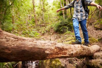 Boy balancing on a fallen tree to cross a stream in a forest