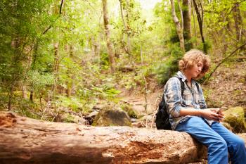 Boy sitting on a fallen tree in a forest using a smartphone