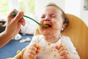 Unhappy Baby Being Fed In High Chair At Meal Time