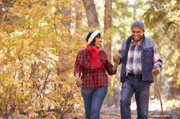 Senior African American Couple Walking Through Fall Woodland