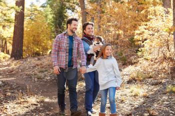 Gay Male Couple With Children Walking Through Fall Woodland