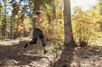 Young adult woman running in a forest jumps fallen branches