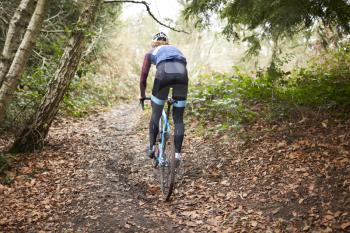 Cross-country cyclist riding on a forest trail, back view