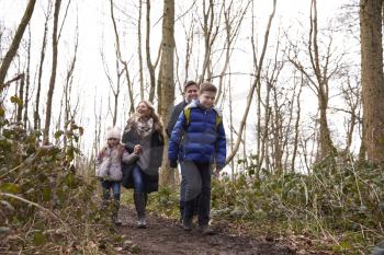 Low angle view of family walking through a wood