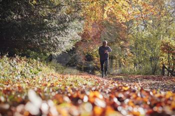 Mature Man On Autumn Run In Woods Checks Activity Tracker