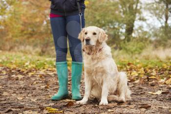 Close Up Of Mature Woman On Autumn Walk With Labrador