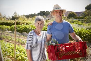 Portrait Of Mature Couple With Crate Of Produce On Allotment