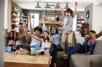 Two Families Watching Sports On Television And Cheering