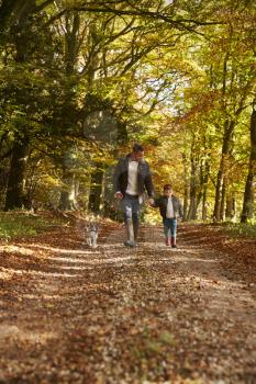 Father And Son Walking Dog In Autumn Woodland Together