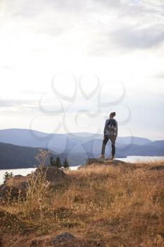 A young mixed race man standing alone on a rock, admiring lake view, back view, vertical