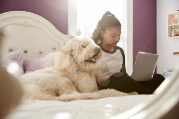 Young teen girl using laptop on her bed beside pet dog