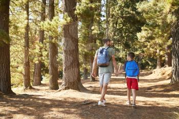 Rear View Of Father And Son On Hiking Adventure Through Forest
