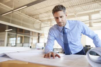 White male architect looking at plans in office, close up