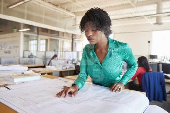 Black female architect studying plans in open plan office