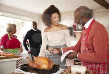 Mixed race senior and young adult family members talking in the kitchen while preparing Christmas dinner together, close up