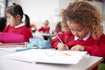 Mixed race schoolgirl wearing school uniform sitting at a desk in an infant school classroom drawing, close up