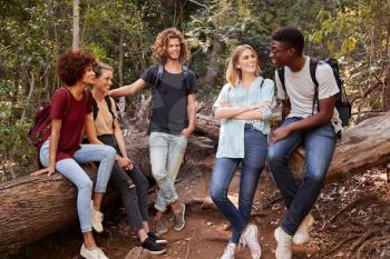 Young adult friends hiking in a forest resting on a fallen tree and talking, full length