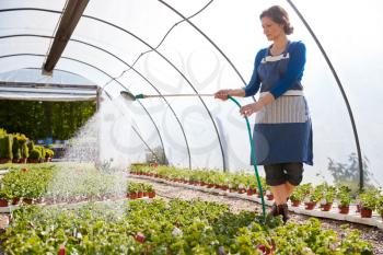 Mature Woman Working In Garden Center Watering Plants In Greenhouse