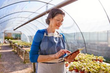 Mature Woman Working In Garden Center Greenhouse Holding Digital Tablet And Checking Plants