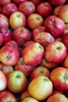 Full Frame Shot Of Fresh Apples Displayed In Organic Farm Shop